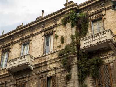 Ad �arricchire� il prospetto ci sono erbacce e piante di fico cresciute nel tempo tra le crepe dei muri...